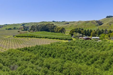 Photo of property in 191 Tyntesfield Road, Waihopai Valley, Blenheim, 7276