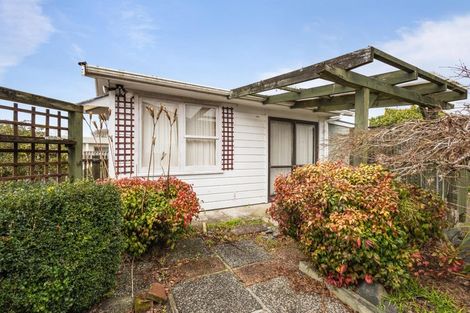 Photo of property in 38 Ruru Crescent, Putaruru, 3411