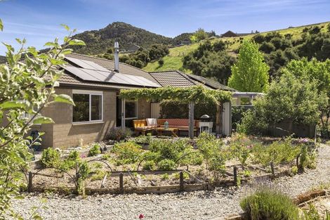 Photo of property in 44 Quinnat Street, Albert Town, Wanaka, 9305