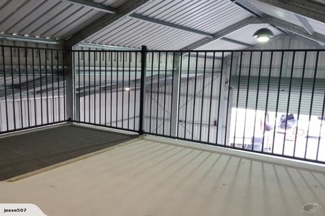 Photo of property in 290 Staniforth Road, Mangawhai, Wellsford, 0975