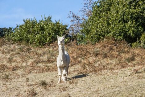Photo of property in 92 Savage Road, Waihi, 3610