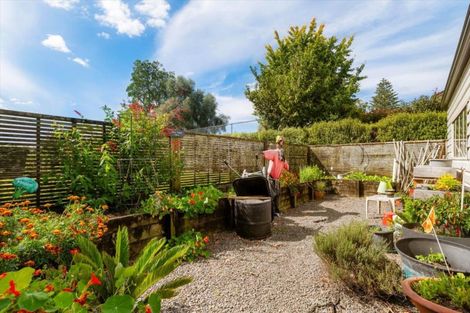 Photo of property in 31 No 1 Road, Te Puke, 3119