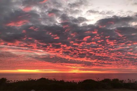 Photo of property in 223 Whirinaki Road, Eskdale, Napier, 4182