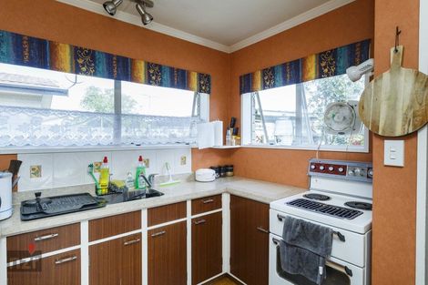 Photo of property in 176b Ruahine Street, Roslyn, Palmerston North, 4414