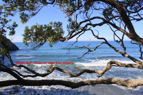 Photo of property in 80-82 Lax Crescent, Leigh, 0985