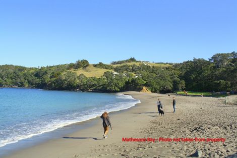 Photo of property in 80-82 Lax Crescent, Leigh, 0985