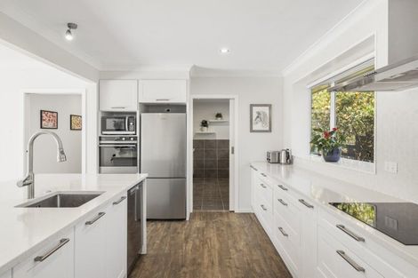 Photo of property in 16 Shelley Street, Otumoetai, Tauranga, 3110