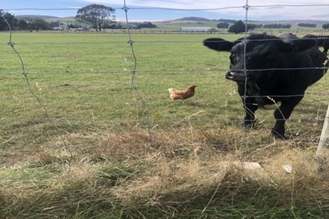 Photo of property in 60 Lumsden Dipton Highway, Lumsden, 9794