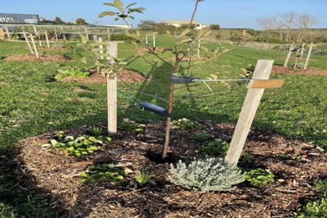 Photo of property in 301 Mercer Ferry Road, Mercer, Tuakau, 2696