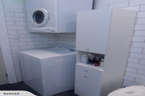 Photo of property in 21 Wright Street, Mount Cook, Wellington, 6021