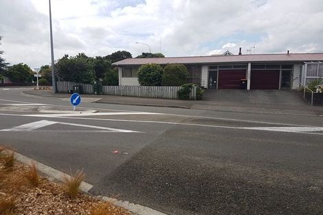 Photo of property in 303 Ruahine Street, Terrace End, Palmerston North, 4410