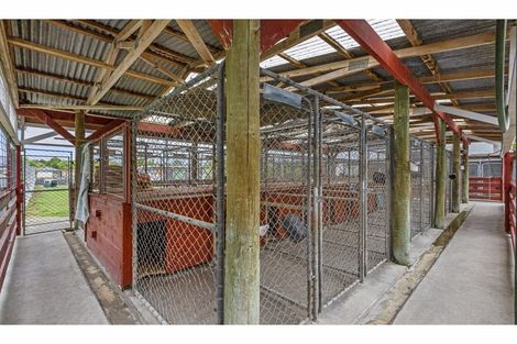 Photo of property in 349 Hauraki Road, Orongo, Thames, 3574