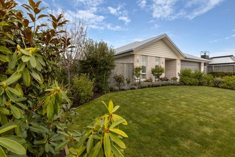 Photo of property in 40 Catalina Crescent, Burleigh, Blenheim, 7201