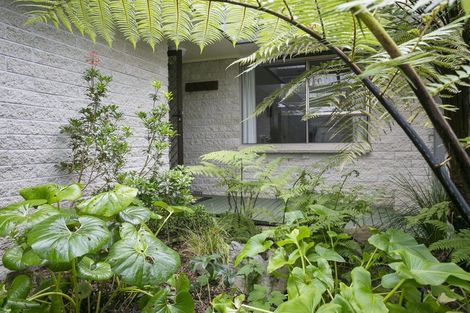 Photo of property in 6 Buckland Place, Cambridge, 3434