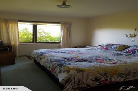 Photo of property in 6a Woodland Road, Tahawai, Katikati, 3170
