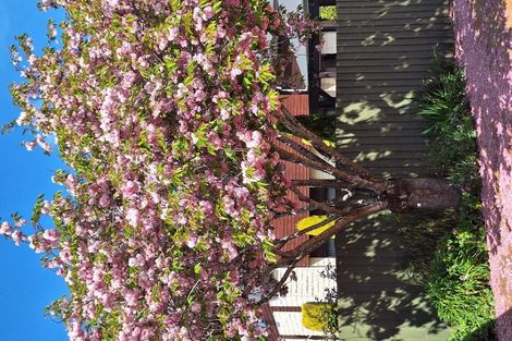 Photo of property in 44 Fairweather Crescent, Kaiapoi, 7630