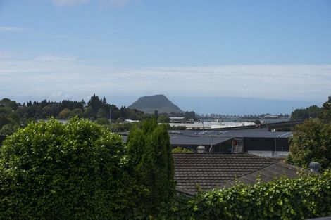 Photo of property in 114b Laurence Street North, Gate Pa, Tauranga, 3112