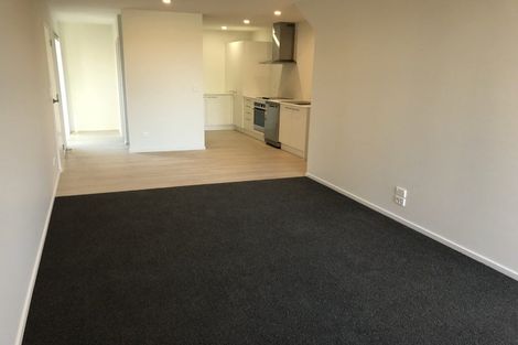Photo of property in 109a Canon Street, Edgeware, Christchurch, 8013
