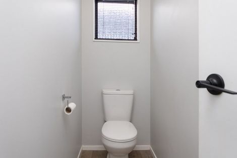 Photo of property in 20b Tingey Avenue, Feilding, 4702