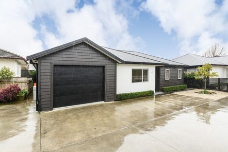 Photo of property in 83b Fitzroy Street, Terrace End, Palmerston North, 4410