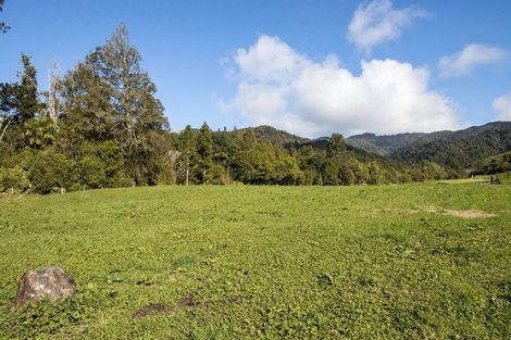 Photo of property in 393a Wharawhara Road, Tahawai, 3178