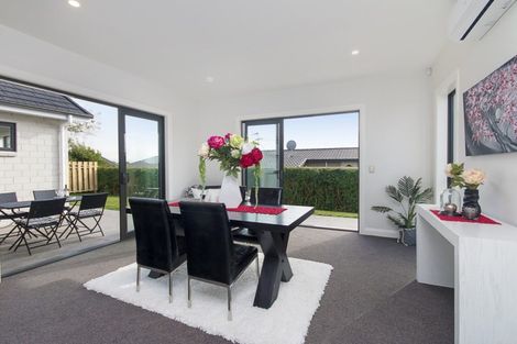 Photo of property in 13 Emsworth Court, Pukekohe, 2120