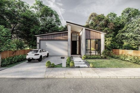 Photo of property in 1 Tabernacle Street, Karaka, 2124