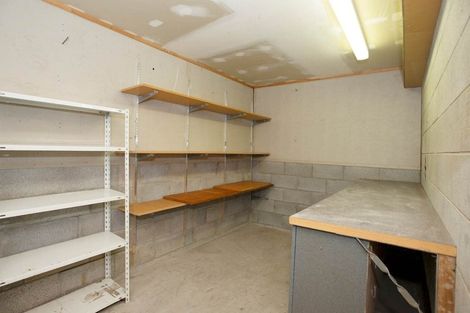 Photo of property in 17 Ngapuhi Road, Remuera, Auckland, 1050