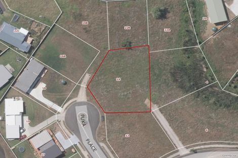 Photo of property in 14 Puka Place, Raglan, 3225
