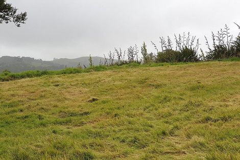 Photo of property in 217 Heatley Road, Whakapirau, 0583