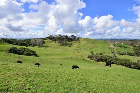 Photo of property in 1088 South Head Road, South Head, Helensville, 0874