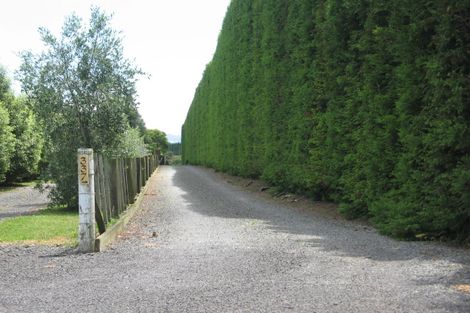 Photo of property in 337 Kauri Point Road, Tahawai, Katikati, 3170