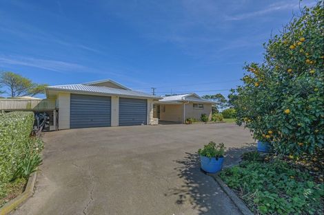 Photo of property in 137 Soldiers Road, Tangimoana, Palmerston North, 4476
