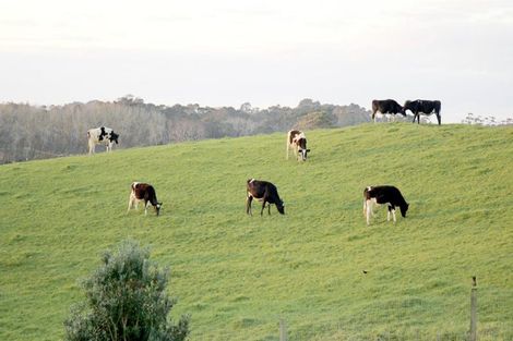 Photo of property in 78c Hyland Place, Waiuku, 2681