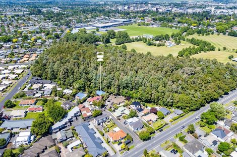 Photo of property in 54a Boundary Road, Claudelands, Hamilton, 3214