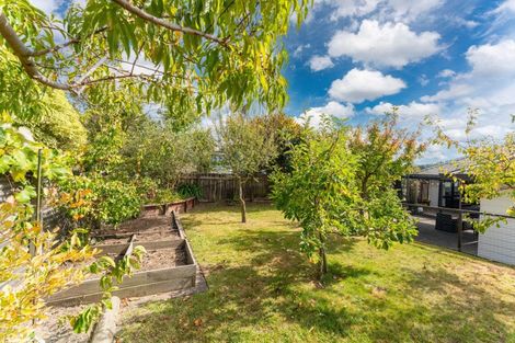 Photo of property in 66 Saint James Street, Richmond Heights, Taupo, 3330