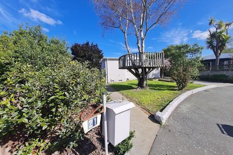 Photo of property in 21 Pascoe Avenue, Mairehau, Christchurch, 8013