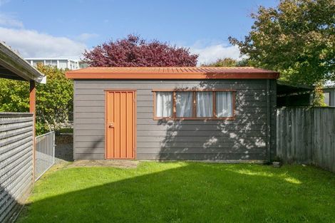 Photo of property in 45 Kaimanawa Street, Omori, Turangi, 3381