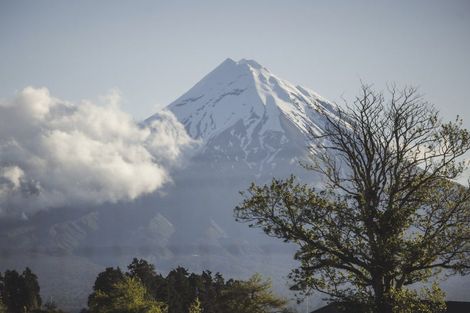 Photo of property in 195 Dudley Road Upper, Inglewood, 4386