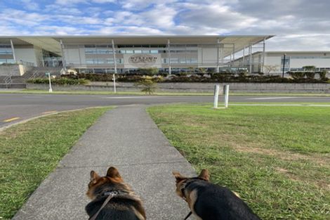 Photo of property in 1 Seresin Crescent, Flat Bush, Auckland, 2016