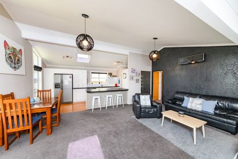 Photo of property in 17 Patea Place, Terrace End, Palmerston North, 4410