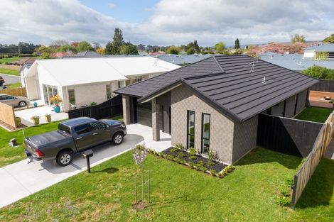 Photo of property in 11 Eastbank Drive, Katikati, 3129
