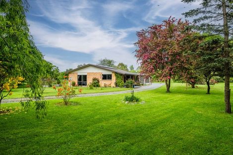 Photo of property in 278 Talbot Street, Geraldine, 7930