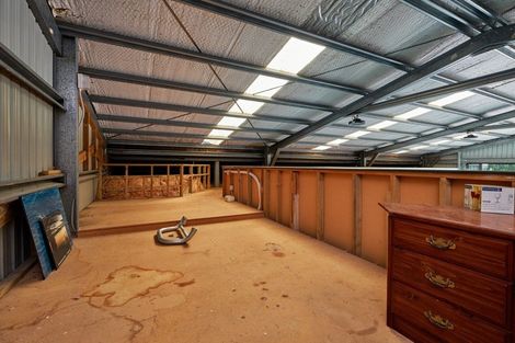 Photo of property in 25 Athelney Road, Kaikoura Flat, Kaikoura, 7371