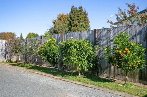 Photo of property in 6 Hulme Place, Leamington, Cambridge, 3432