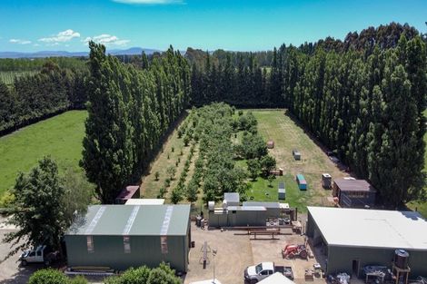 Photo of property in 254 Hilderthorpe Road, Hilderthorpe, Oamaru, 9493