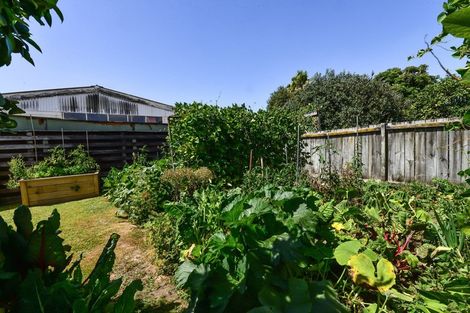 Photo of property in 68 Lewis Street, Glenview, Hamilton, 3206