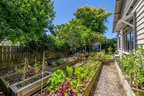 Photo of property in 429 High Street South, Carterton, 5713