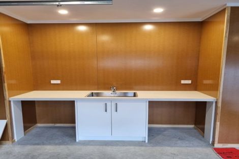 Photo of property in 172 College Street, Awapuni, Palmerston North, 4412