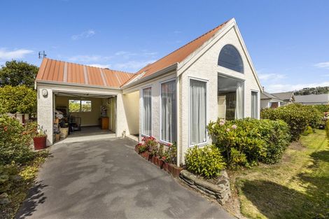 Photo of property in 177d Bay View Road, South Dunedin, Dunedin, 9012